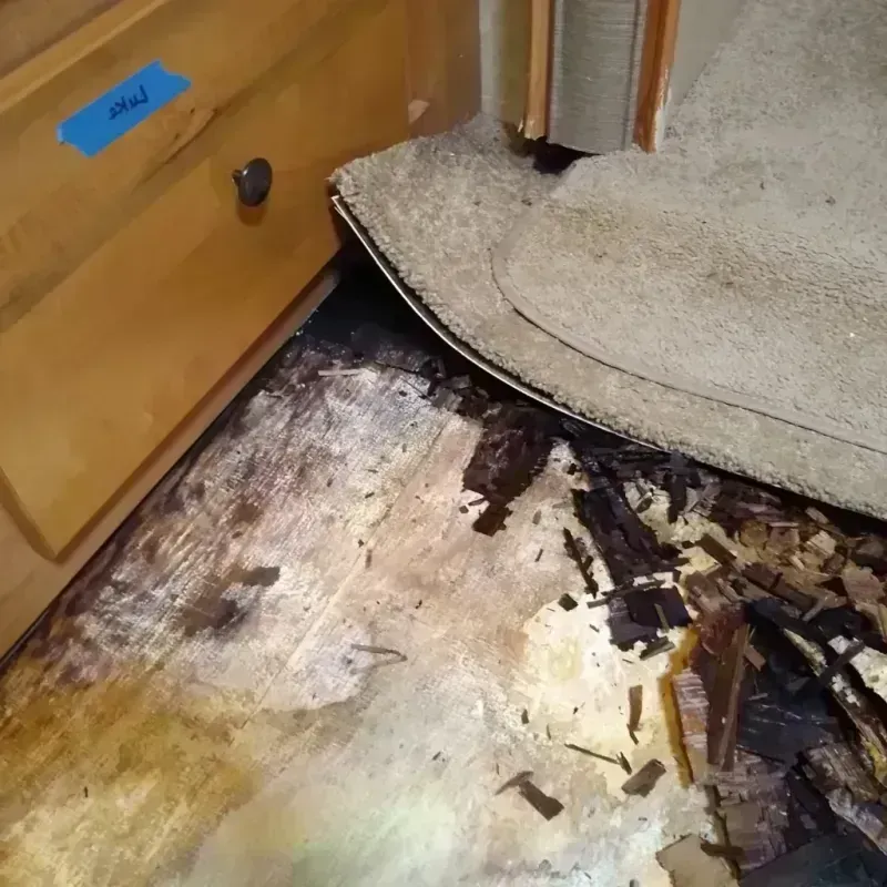 Best Wood Floor Water Damage Service in Pasadena Hills, FL